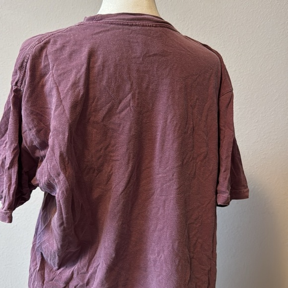 Comfort Colors | Taylor Swift | Champagne Problems Plum T-Shirt | Size Large - Picture 2 of 4